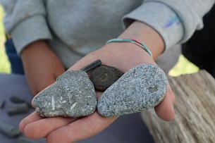 An open hand holding fossils